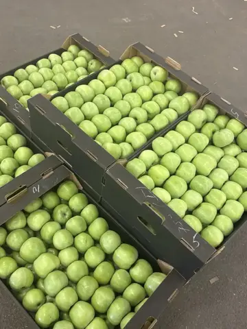 Фото объявления: Реализуем яблоко собственного производства 🍎🍏, Краснодарский край